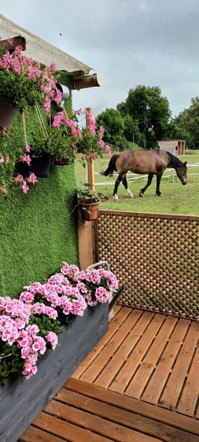 Gite O Vert Malleville-sur-le-Bec Екстер'єр фото